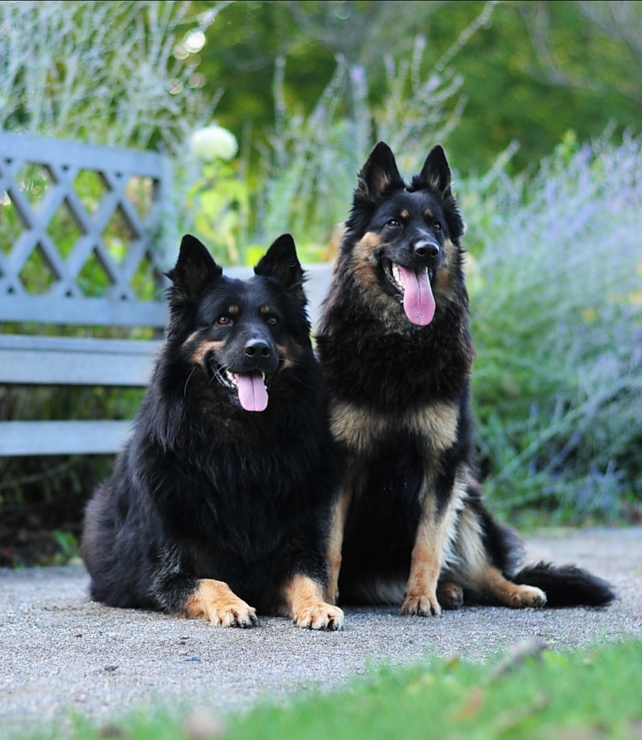 Achim 4 roky, Fína 13 měsíců